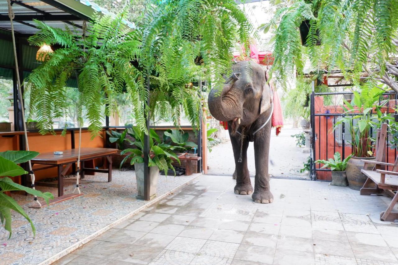 The Park Ayutthaya Resort And Spa Bagian luar foto
